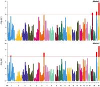 Admixture Mapping plot from PMID 35365809
